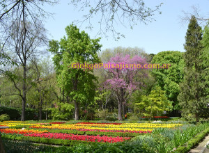 Los colores de la Primavera